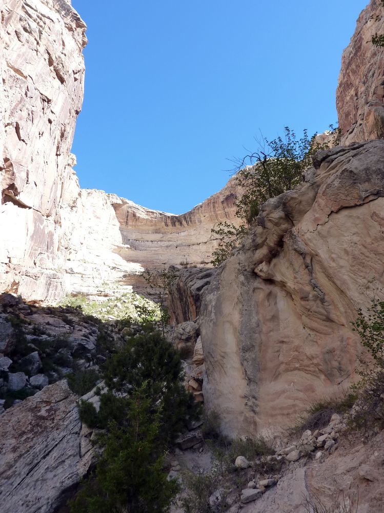 Dinosaur national park (22).JPG
